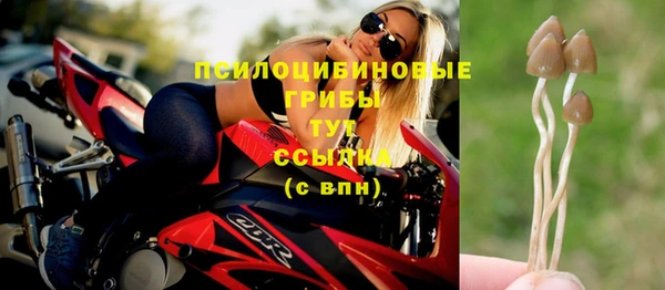 соль ск Каменск-Шахтинский