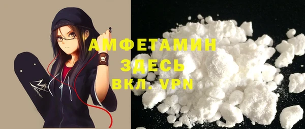 индика Каменногорск