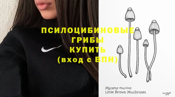 героин Каменка