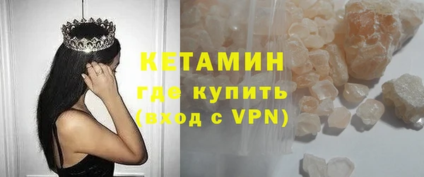 индика Каменногорск