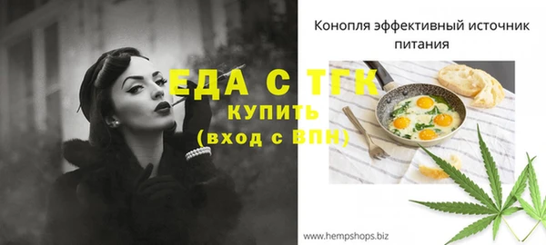 индика Каменногорск