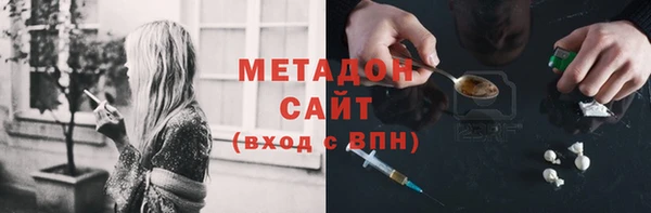 индика Каменногорск