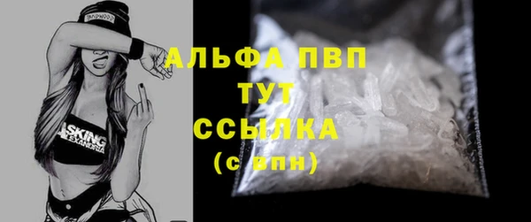 индика Каменногорск