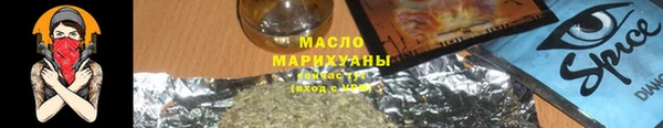 индика Каменногорск
