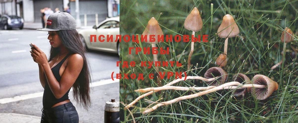 соль ск Каменск-Шахтинский