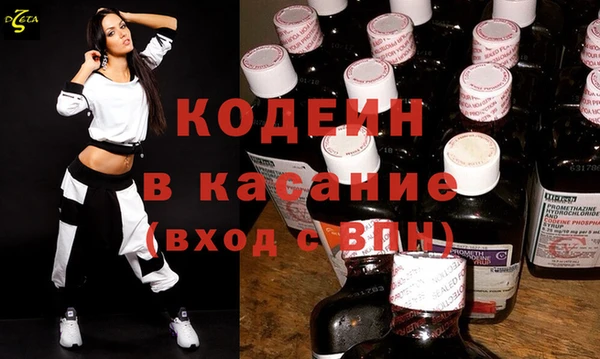 индика Каменногорск