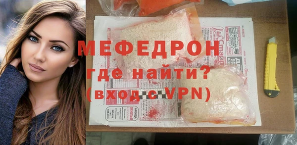 индика Каменногорск