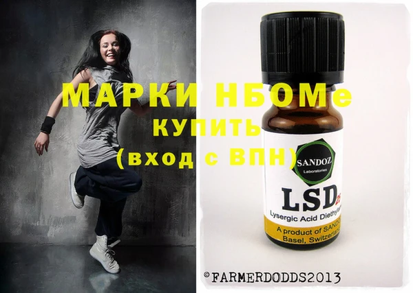 индика Каменногорск