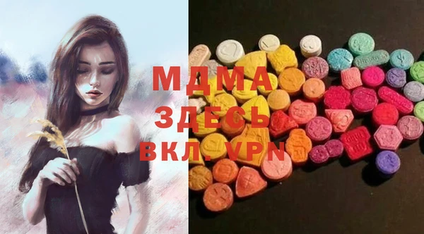 индика Каменногорск