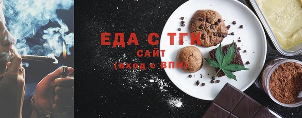 индика Каменногорск