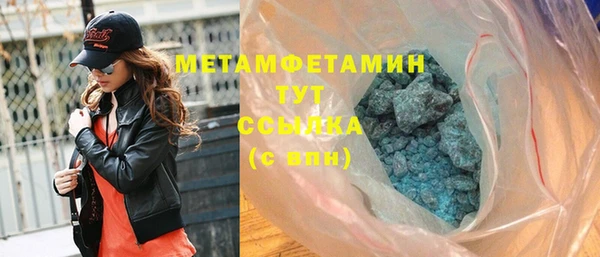 индика Каменногорск