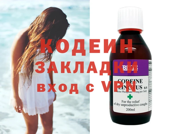 индика Каменногорск